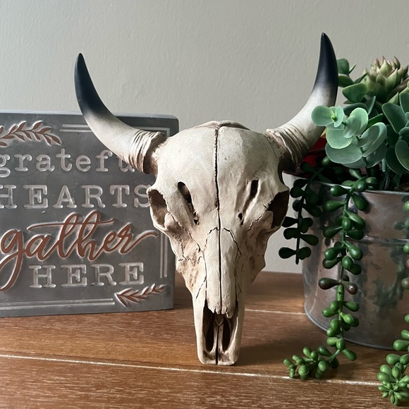 New Boho Rustic Cow Skull Wall Decor - Picture 3 of 6